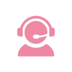 Professional Service System